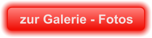zur Galerie - Fotos