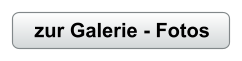 zur Galerie - Fotos