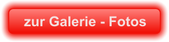 zur Galerie - Fotos